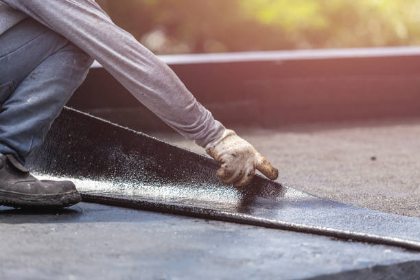 Professional Interior Drainage System technician working in Burgoon, OH